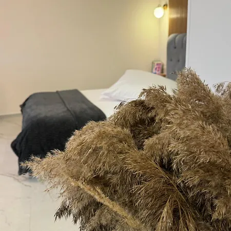 Baltic Avenue Клайпеда