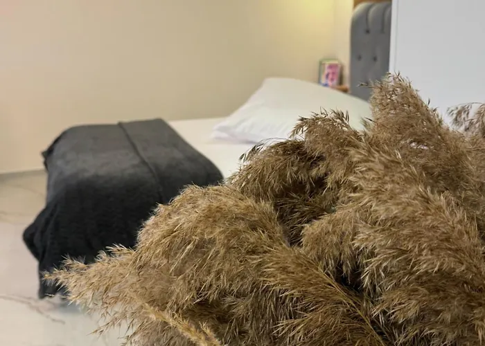 Baltic Avenue Klaipeda